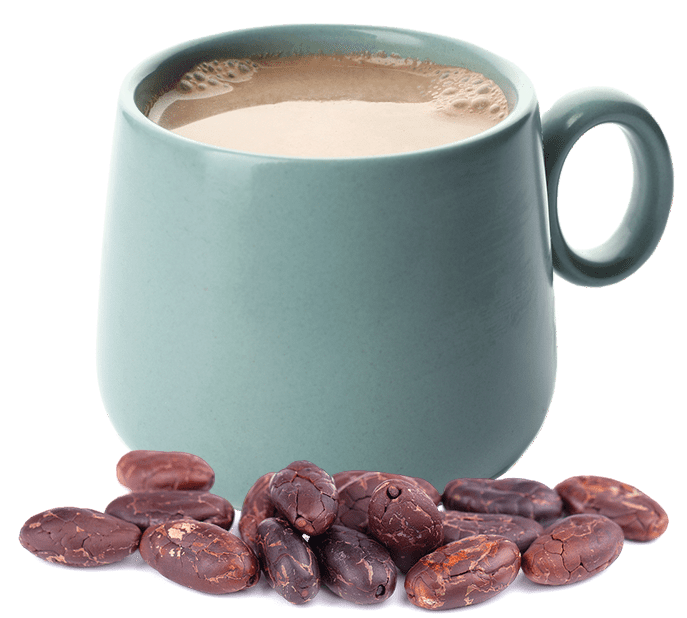 cacao ceremony with guided meditation