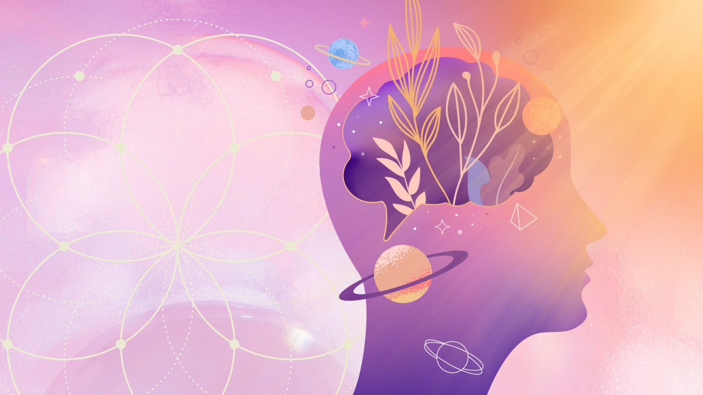 Neuroplasticity, Hypnagogia & the Lucia N°03