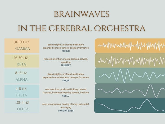 Brain Waves: A Synchronized Symphony, Not a Solo Performance - Lucia light