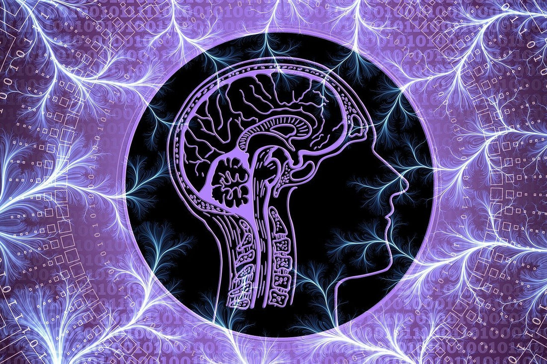 Lucia N°03 and the Nervous System - Lucia light