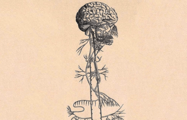 The Gifts of Quarantine: Recalibration and Inner Growth - Lucia light