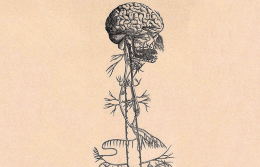 The Gifts of Quarantine: Recalibration and Inner Growth - Lucia light