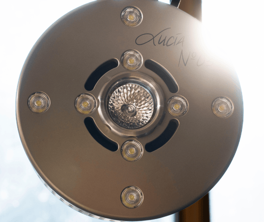 The Intelligence of Safety: What 4.2 Million Light Sessions Reveal About Consciousness, Risk, and Right Relationship - Lucia light