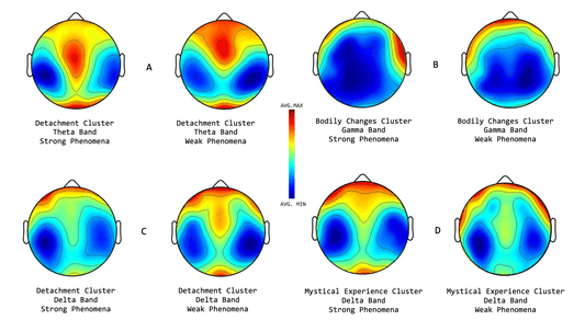 The Science of Light and Unity: What Happens in the Brain During a Lucia N°03 Session - Lucia light