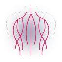 Nervous System Recalibration